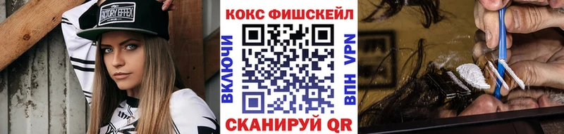 Cocaine Fish Scale  Купить закладки  Игра 
