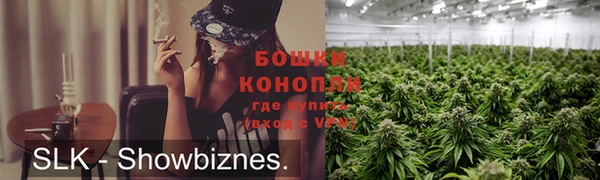 стаф Дмитров