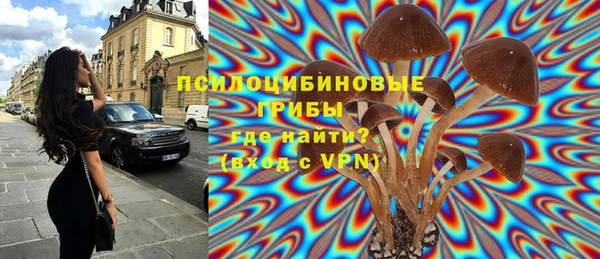 бошки Дмитровск