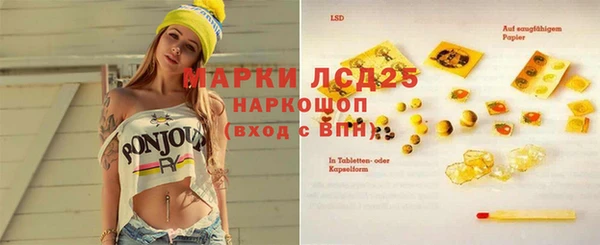 стаф Дмитров