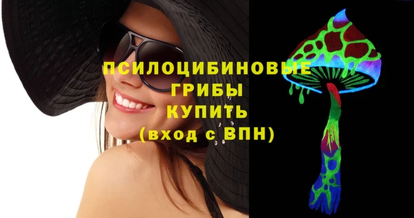 стаф Дмитров