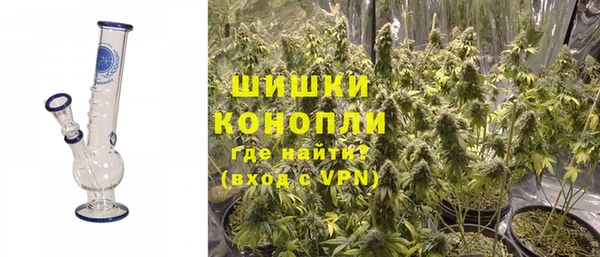 стаф Дмитров