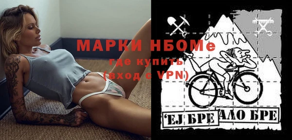 стаф Дмитров