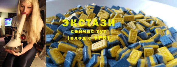 стаф Дмитров