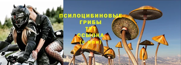 бошки Дмитровск